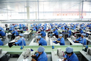 萬億藍(lán)海 互聯(lián)網(wǎng)服務(wù)市場(chǎng)的崛起與未來