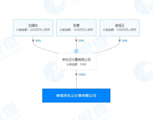 京東云戰略布局再深化 月內新設三家公司，計算機系統集成成焦點